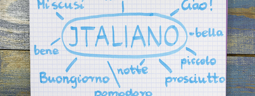 Herkenning Hardheid Bediening mogelijk Italiaans voor dummies | Cursus met begeleiding | NHA